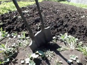 Очередная модернизация лопаты для вскапывания огорода