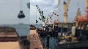 Погрузка и разгрузка зерна на судно.