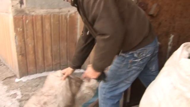 Проект ТБО. Раздельный Сбор Отходов. смотреть онлайн