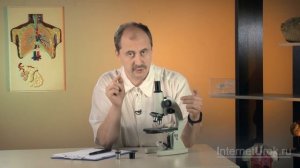 Устройство увеличительных приборов. Видеоурок по биологии 5 класс