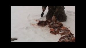 Тест мясницкой тяпки. Рубка кабана.