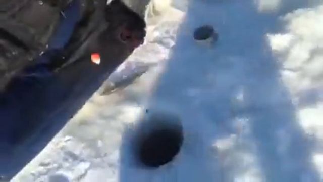 Лучшая рыбалка 2017 в России смотреть онлайн