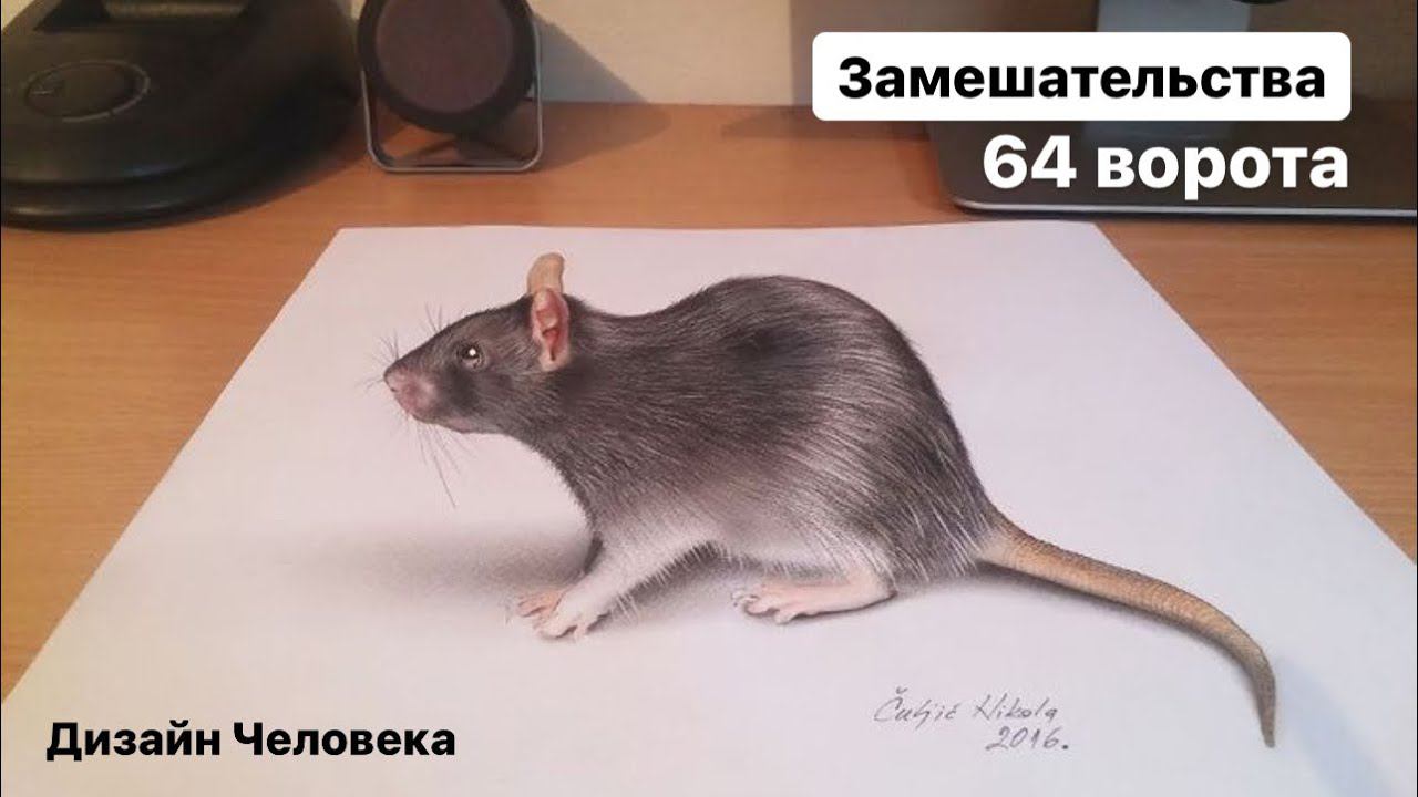 64 ворота Замешательства Абстрактный контур. Базовое описание