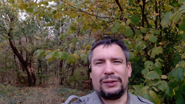 День Отца: как праздновать? #праздник #отец #деньотца #дети #отцыидети #заповедь #блогоБоге смотреть онлайн