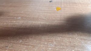 Что делать  если джул не работает??? фикс джула за 5 минут быстро и просто 💭💭💭