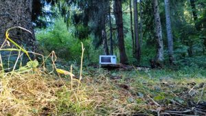 Дум бум 50 против микроволновки