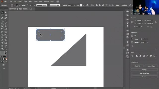 Adobe Illustrator Class 01 (Introduction to Layout, Selection Tool & Shapes) смотреть онлайн