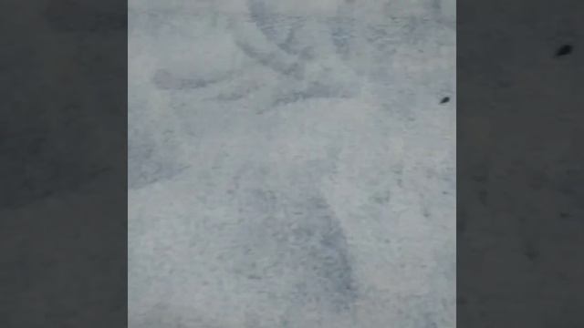 Мои подделки из картона (2 часть)