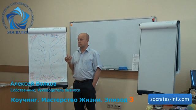 Алексей Волков   полное собрание