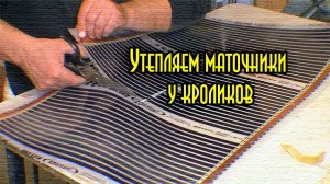 Утепление маточников у кроликов с помощью термоплёнки