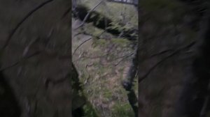 Расслабляющая музыка для медитации и вхождения в транс. Диджериду и Шаманский бубен. Быстро уснуть.