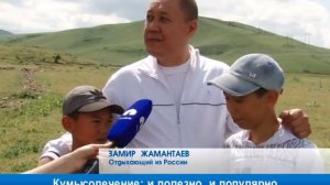 Кумысолечение: и полезно, и популярно