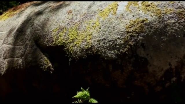 Ирландская песня