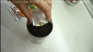 РАССАДА НА ФИТИЛЬНОМ ПОЛИВЕ! Рассада БЕЗ хлопот. Сею семена Физалиса,Агератума,Базилика 2018год БМ