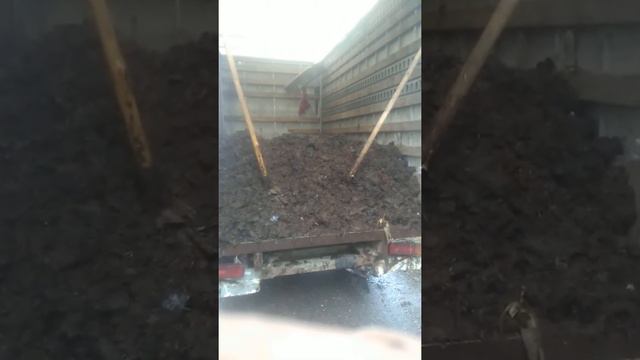 Самое лучшее удобрение для любых овощей смотреть онлайн