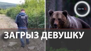 Медведь загрыз девушку в Магадане | Её подруге удалось спастись