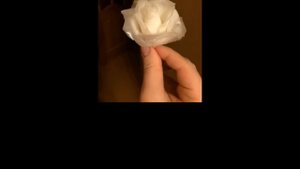 Холодный фарфор - Цветы из японской глины