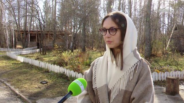 Тополя преткновения. В Северном Артеке соседи поссорились из-за деревьев смотреть онлайн