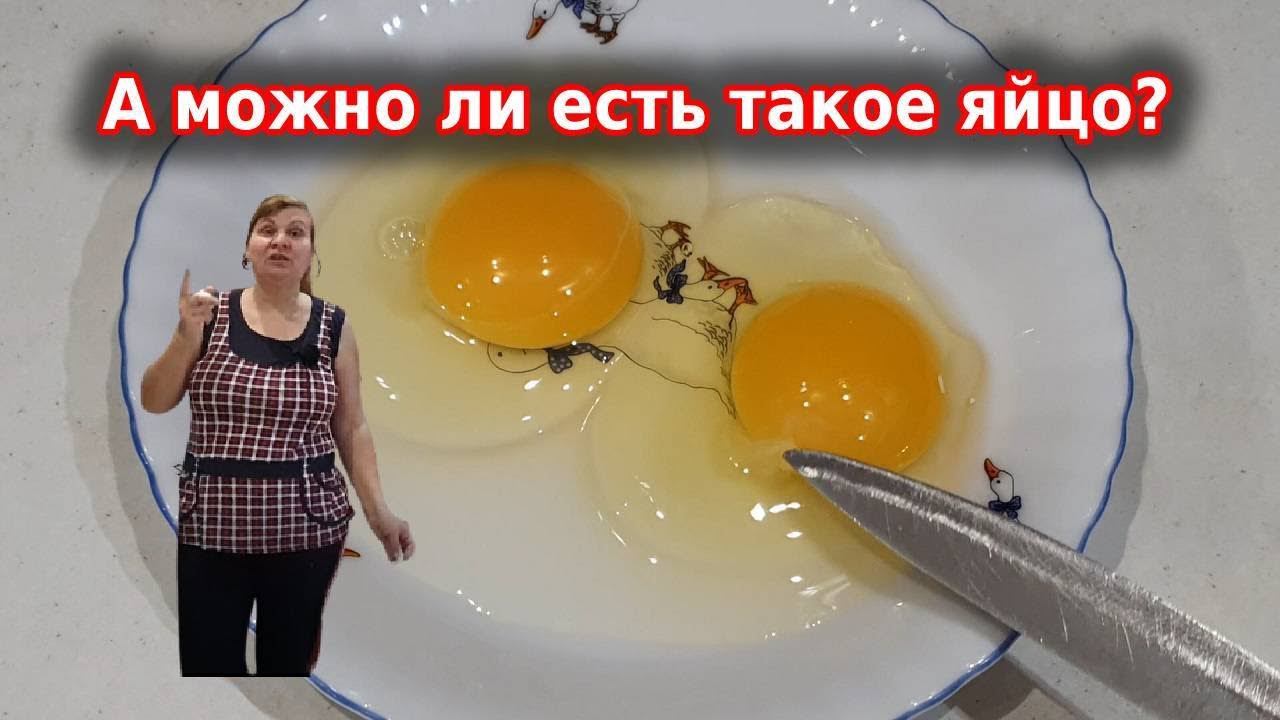 Куриные яйца с кровью, треснутые можно есть? Надо ли мыть яйца?