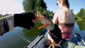 Ловля Щуки В Коряжнике. Щука На Воблер. Секретный Цвет Приманки В Жару!