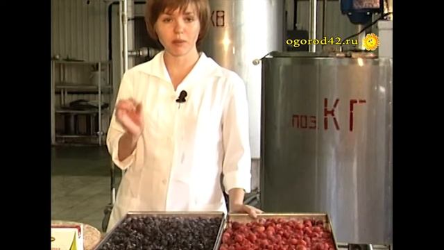 Как правильно замораживать ягоду