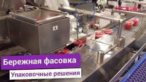 Многоканальная весовая станция для взвешивания или штучной подачи