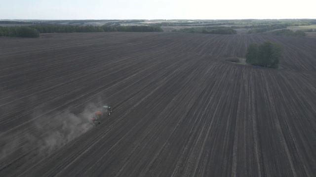 Выявили 5 плюсов Ультро - подсолнечник от СанФлауэр смотреть онлайн