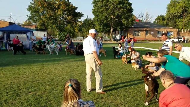 Брита Праздник Урожая 2017 г. Таганрог смотреть онлайн