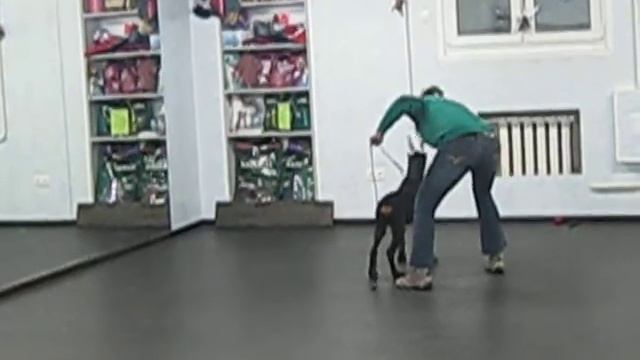 Зольда тренинг 10.02.11 008.avi смотреть онлайн