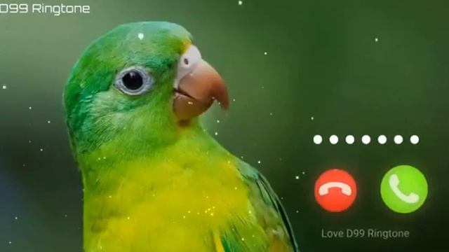 Cute sms message Ringtone | Message Tone | Cute sms Ringtone | Love ringtone | notification tone