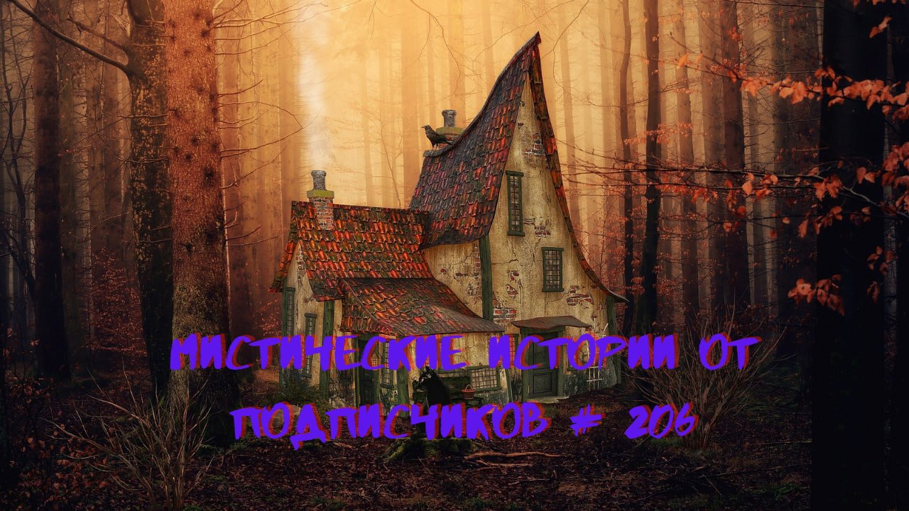 мистические истории часть 206