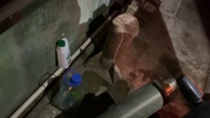 Honda CB400SF - отличная работа двигателя.