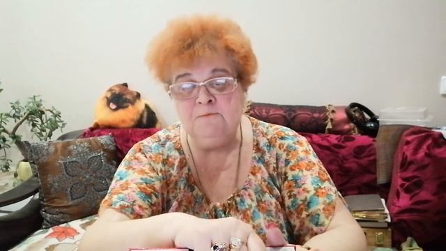 Защитите дачу от воров. Разбор полётов.