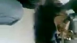 Элис на гитаре поддцает