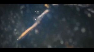 ПОДКОВЫ ПОКРАСКА ПОСЛЕ УДАЛЕНИЯ РЖАВЧИНЫ! ВТОРАЯ ЖИЗНЬ ЛОШАДИНЫХ ПОДКОВ. 3 ЧАСТЬ