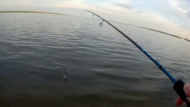 Окуни на ультралайт на Матырском водохранилище