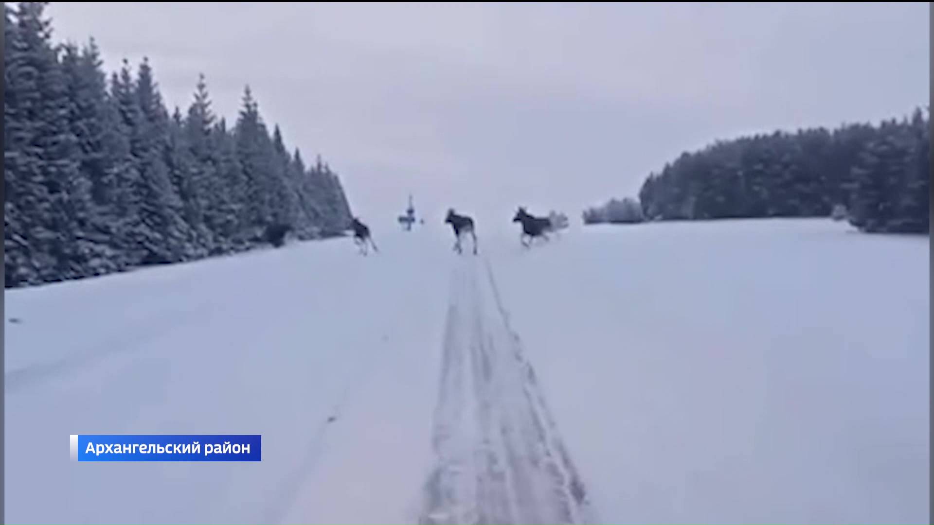 Последние открытые каналы