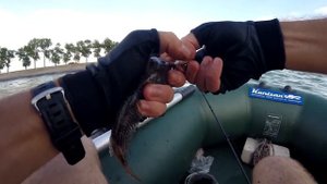 Ловля КРУПНОГО БЫЧКА на водохранилище