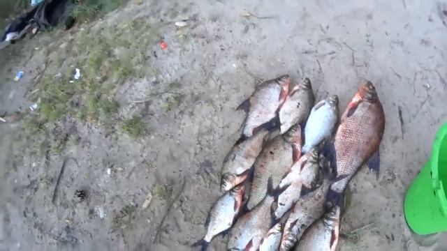 ЭТО МАНИТ РЫБУ СО ВСЕГО ВОДОЕМА СУПЕР АТТРАКТАНТ ДЛЯ РЫБАЛКИ АКТИВАТОР КЛЕВА. Рыболовная насадка смотреть онлайн