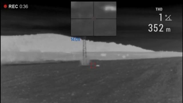 Лов с термален прицел Pulsar Trail 2 Fox Hunt - 352м Blaser R8 22-250 смотреть онлайн