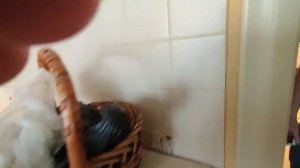 Тест проточного водонагревателя  Electrolux NPX 6 AQUATRONIC DIGITAL 2.0