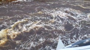 Подкаменная Тунгуска, навигация 2022 .вдоль берега.