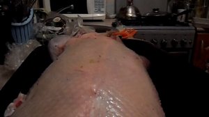Утка запеченная с яблоками и черносливом