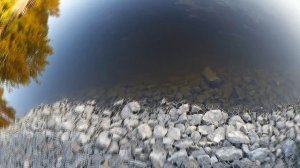 Нахлыст. Головинские пруды