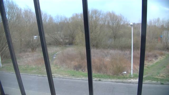 Новости в Калининграде Насколько продлили режим самоизоляции смотреть онлайн