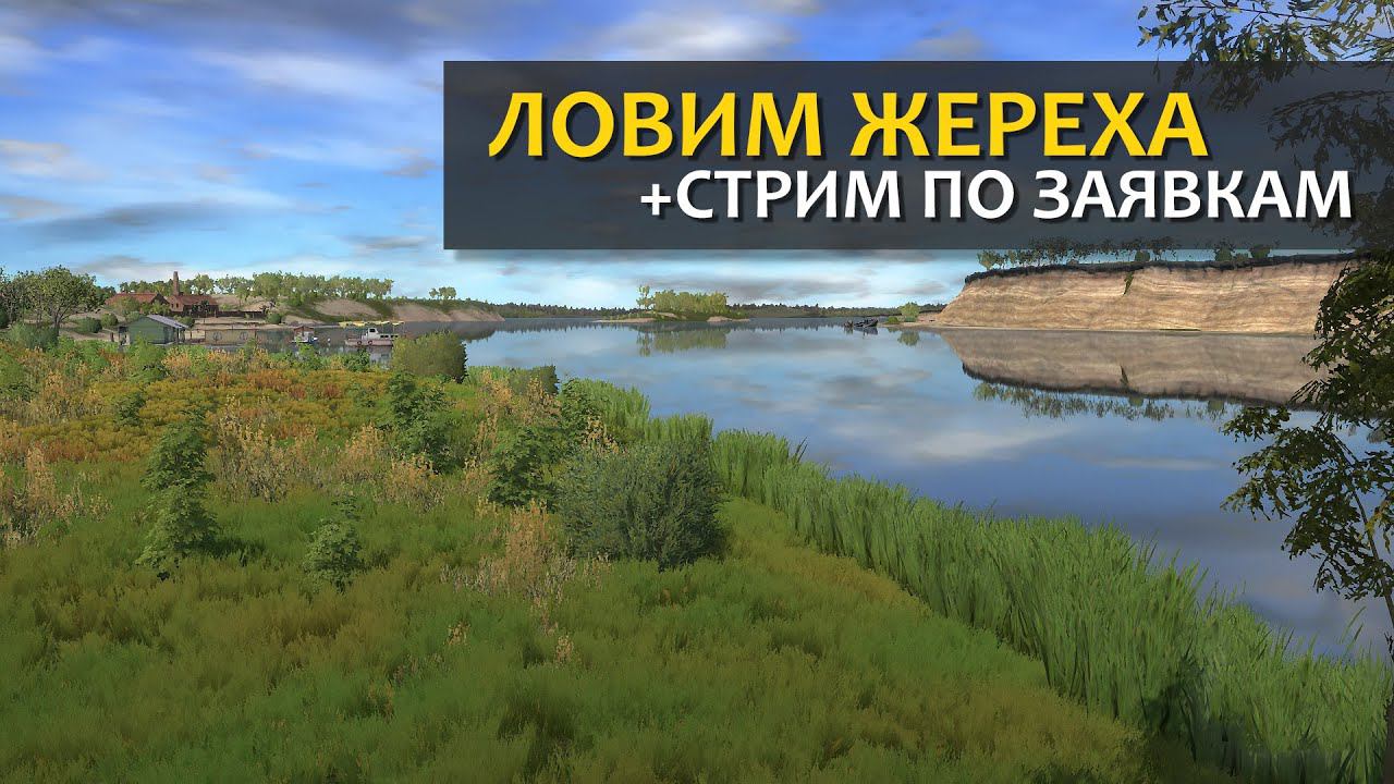 Русская Рыбалка 4 - Стрим. Ловим жереха на Ахтубе + стрим по заявкам (Подробнее в описании). смотреть онлайн