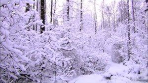 Сергей Рогожин -- Зимняя песня .