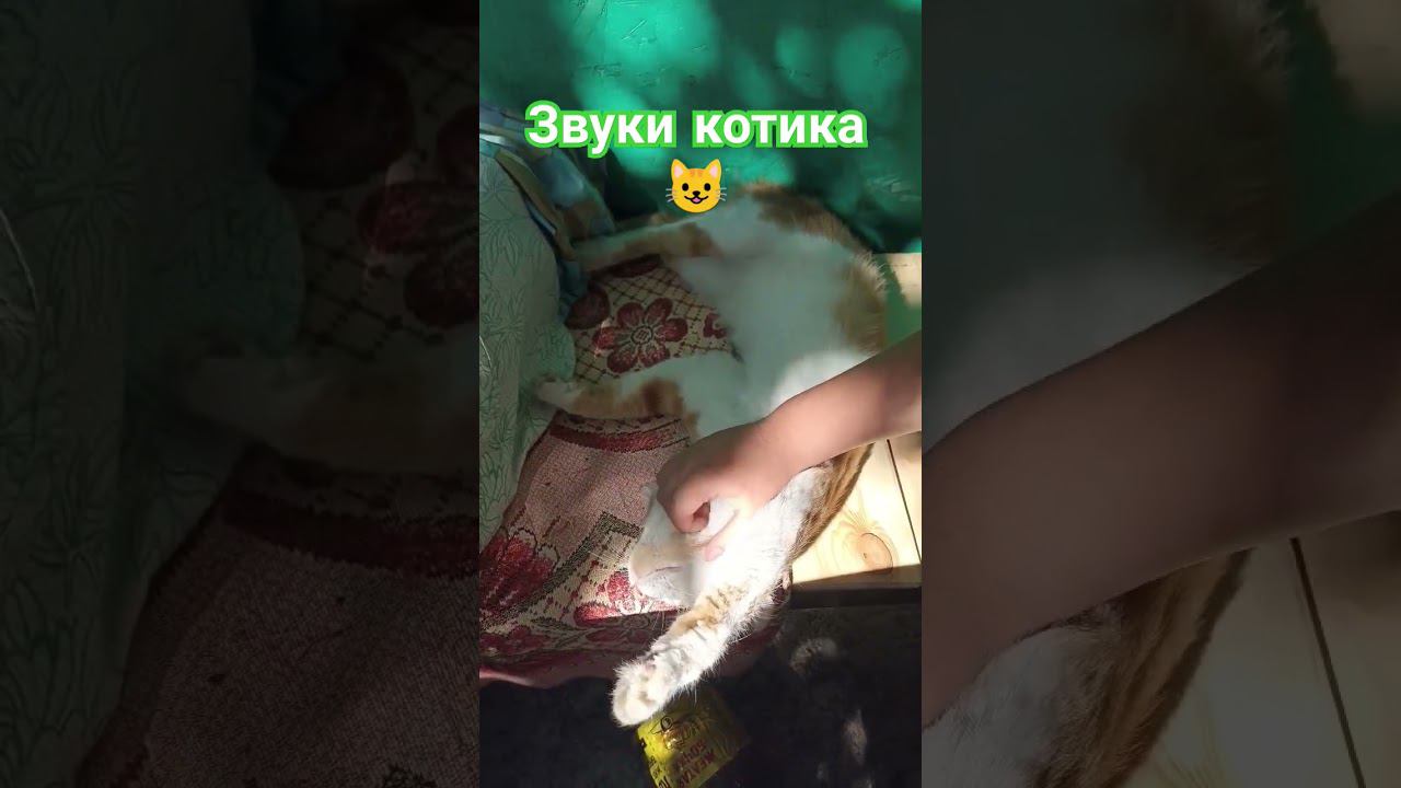 Последний день лета#новости #лето #ставрополь #путешествия #природа #погода