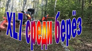 XL7 сравнение полёта с, Protek35, Mark4, VD5 в березовом лесу Ч3