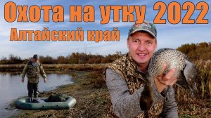 Охота на утку / Охота с чучелами / Алтайский край